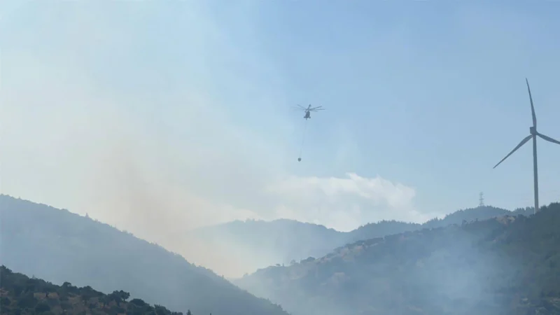 Hatay'ın Belen ilçesinde ormanlık alanda yangın başladı. Orman Genel Müdürlüğü,