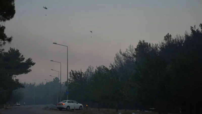 İzmir'in Gaziemir ve Buca ilçeleri arasında dün başlayan orman yangını