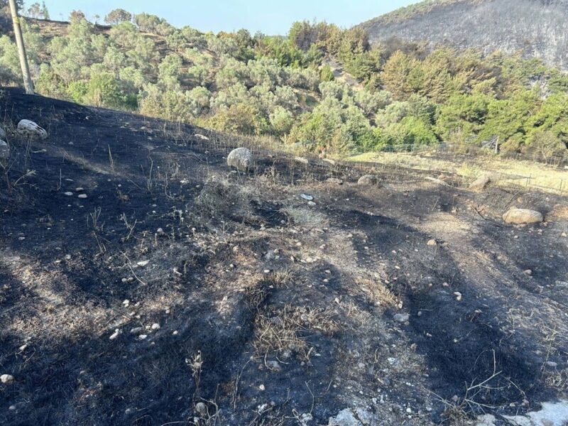 İzmir'in Bornova ilçesinde dün saat 13.37 sıralarında henüz belirlenemeyen nedenle