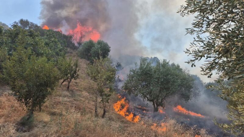 Manisa'nın Turgutlu ilçesinde ormanlık alana sıçrayan yangına havadan ve karadan