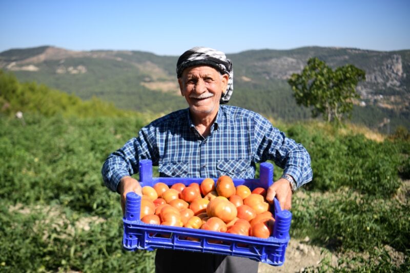 Bornova Belediyesi, yerel üreticilere verdiği desteği tüm hızıyla sürdürüyor. Fidan,