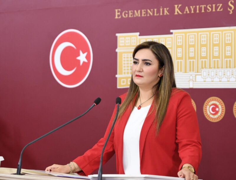 CHP İzmir Milletvekili Sevda Erdan Kılıç, Milli Eğitim Bakanlığı’nın İzmir’in