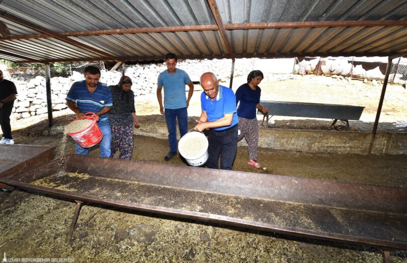 İzmir Büyükşehir Belediyesi, yangından zarar gören köylerin yaralarını hızla sarmaya
