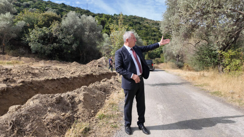 Güzelbahçe Belediyesi, meclisten geçerek yasalaşan sokak hayvanları ile ilgili yasaya