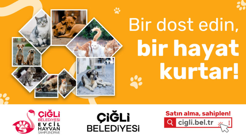 Çiğli Belediyesi tarafından, can dostları yeni yuvalarına kavuşturmak amacıyla Evcil
