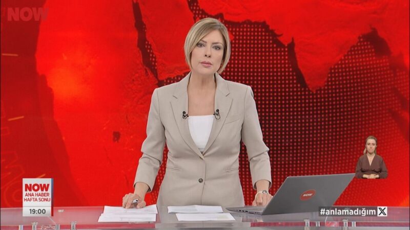 ABB Başkanı Mansur Yavaş'a sokak hayvanları konusunda eleştirilerde bulunduktan sonra