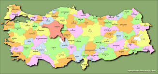 Türkiye İstatistik Kurumu (TUİK), suç oranının en çok ve en