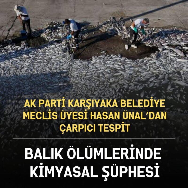 AK Parti Karşıyaka Belediye Meclis Üyesi Hasan Ünal, İzmir Körfezi’nde