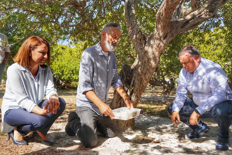 Çeşme Belediyesi ve S.S. Çeşmeköy Tarımsal Kalkınma Kooperatifi iş birliği