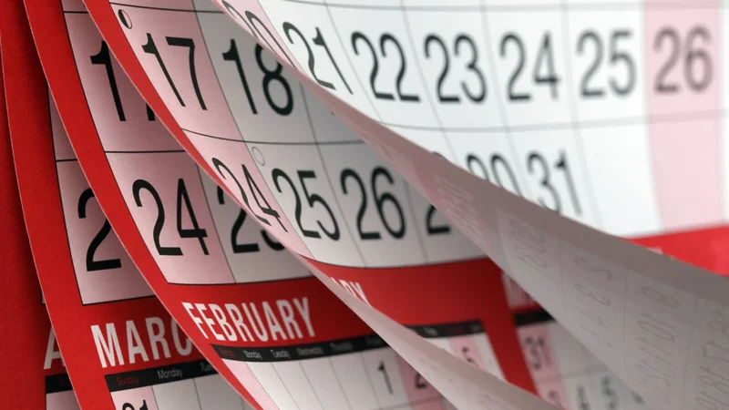 2025 yılının resmi tatil günleri hangi zamanlara denk geliyor?

