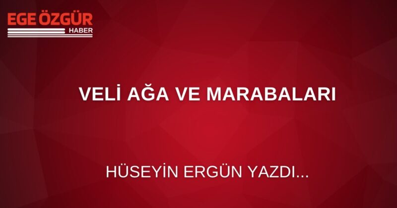 Siyasetle ilgisi olanlar Veli Ağa'nın kim olduğunu bilir. Ancak bilmeyenler