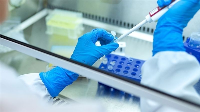 Newcastle Üniversitesi’nin yaptığı çığır açıcı araştırma, doğru yaşam tarzı değişikliklerinin