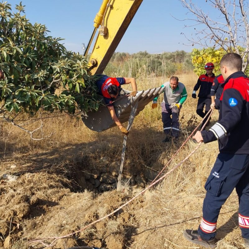Kemalpaşa Ulucak Mahallesi’nde su kuyusuna düşen yılkı atı, ekiplerin yoğun