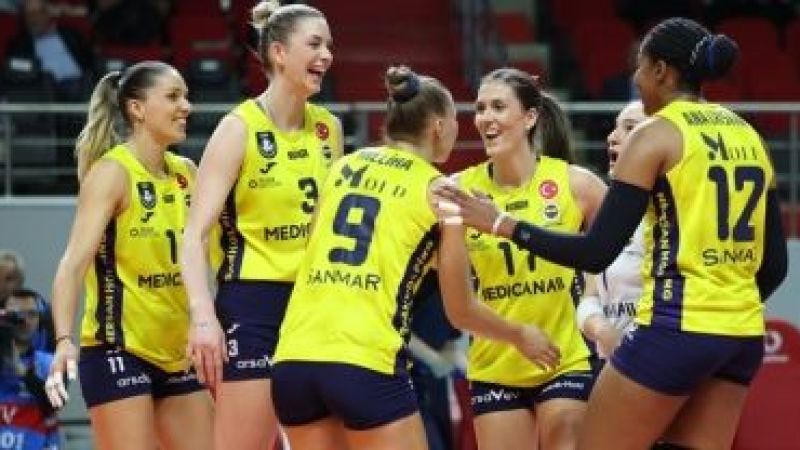 Fenerbahçe Medicana Kadın Voleybol Takımı, CEV Kadınlar Şampiyonlar Ligi D