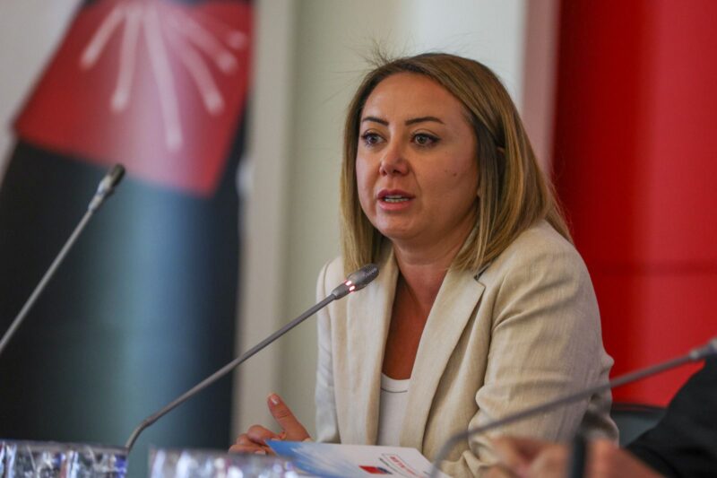


CHP Seçim ve Parti Hukuk İşlerinden Sorumlu Genel Başkan Yardımcısı