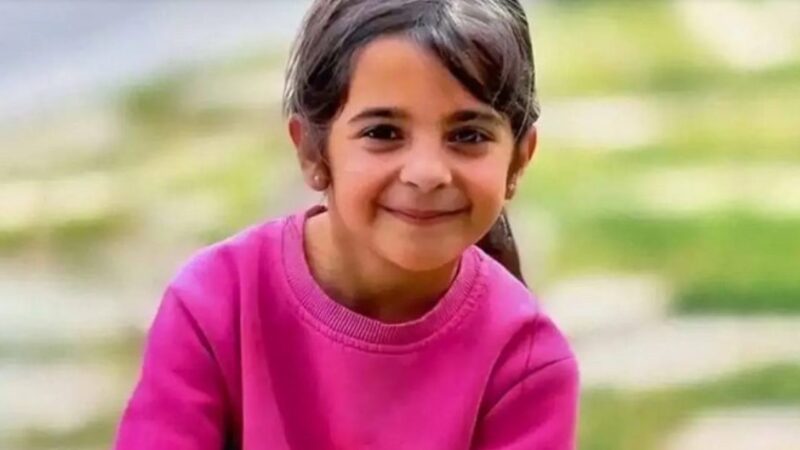 Diyarbakır'da sekiz yaşındaki Narin Güran'ın cinayetiyle ilgili soruşturma devam ederken,