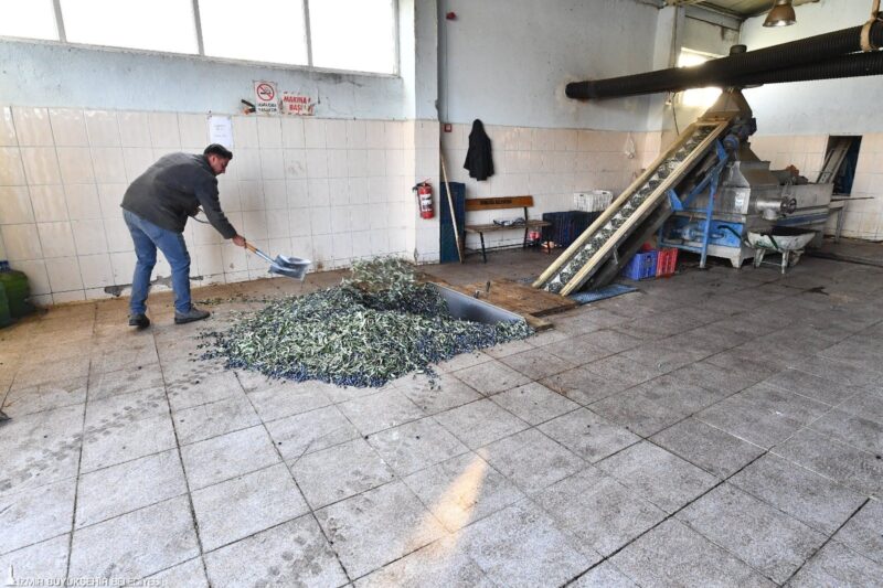 İzmir Büyükşehir Belediyesi, zeytin ve zeytinyağı üreticilerinin yükünü azaltmak ve