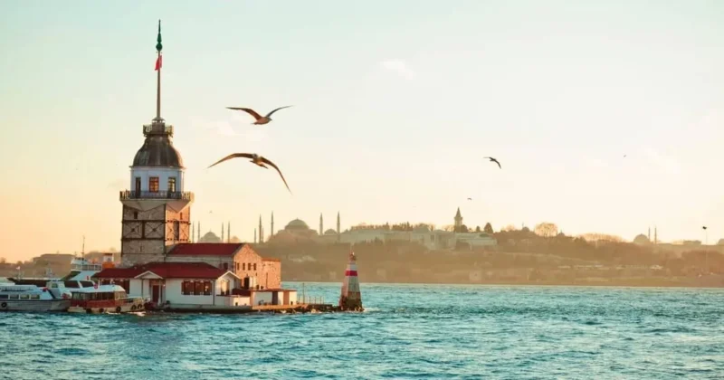 Türkiye İstatistik Kurumu (TÜİK) tarafından açıklanan yeni verilere göre, Türkiye'deki