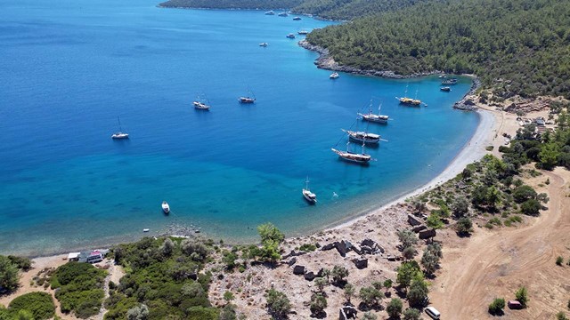 Rusya Seyahat Endüstrisi Birliği Başkan Yardımcısı Dmitriy Gorin, bu yıl