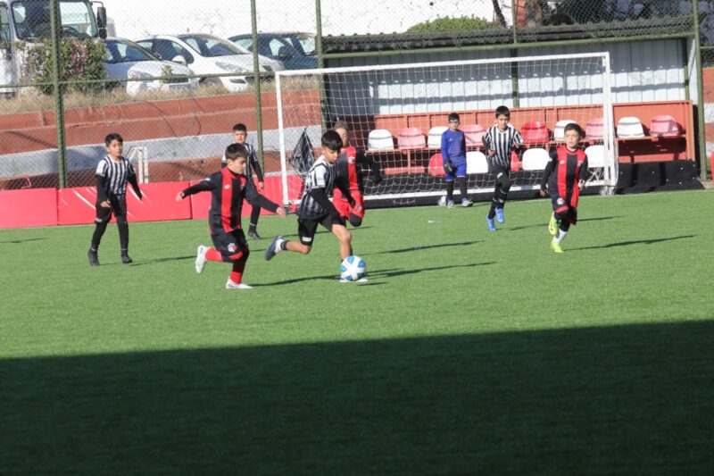 
Bayraklı Belediyesi, ilçedeki amatör spor kulüpleri arasında düzenlenen U-10 Cup