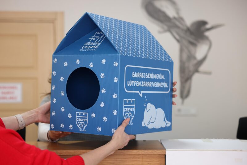  

Çeşme Belediyesi, kolay kurulumlu kedi evleri ile sokaktaki minik