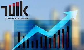 Türkiye İstatistik Kurumu (TÜİK) tarafından açıklanan 2024 yılı hayvansal üretim