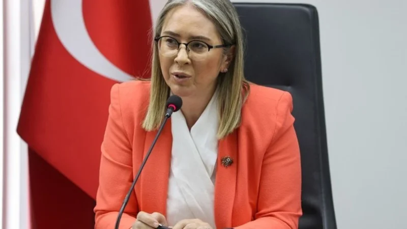 AK Parti İzmir Milletvekili Ceyda Bölünmez Çankırı İzmir Büyükşehir Belediye