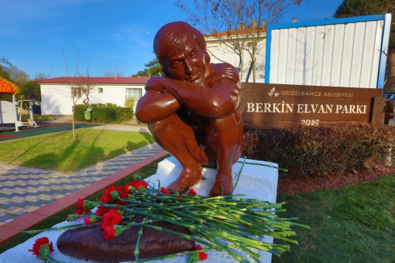 Gezi Parkı direnişi sırasında ekmek almaya giderken başına isabet eden