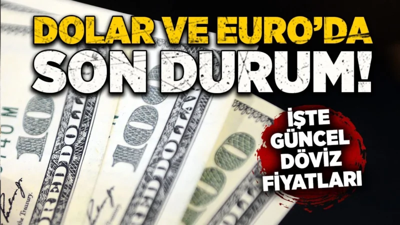Türkiye'de yaşanan siyasi gelişmeler, döviz piyasalarında sert dalgalanmalara neden oldu.