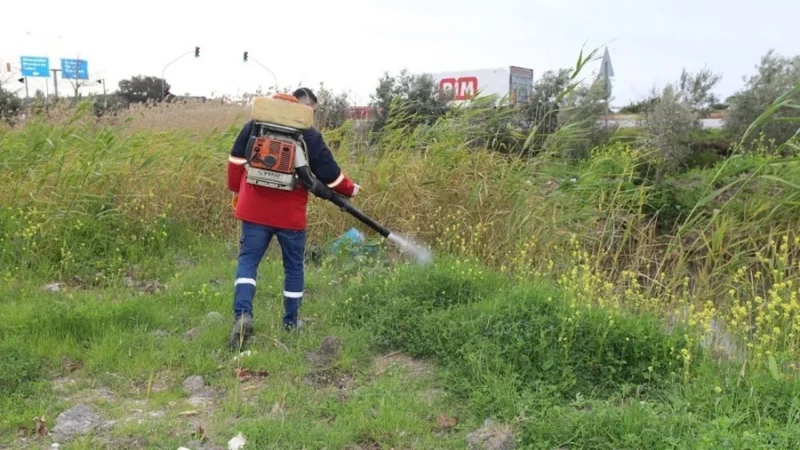 Menderes Belediyesi, sivrisinek ve haşere artışını önlemek için larva ilaçlama