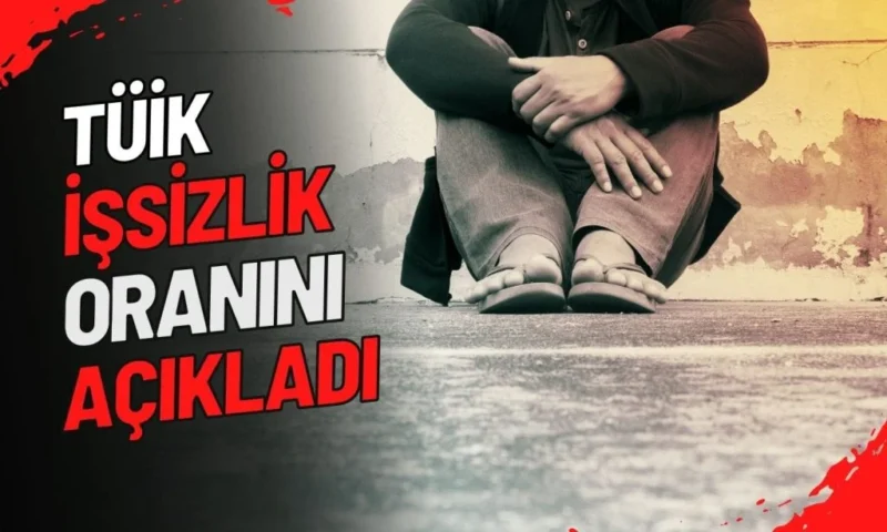 TÜİK'in yayınladığı işgücü istatistiklerine göre gerçek işsizliği ifade eden atıl