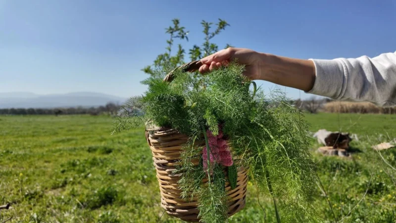 İzmir Valiliği’nin il genelinde beş gün süreyle her türlü toplantı,
