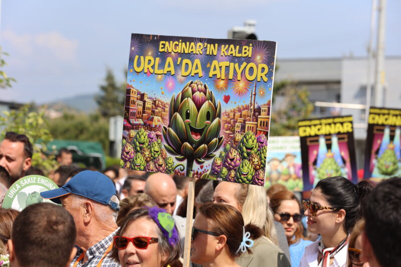 11. Uluslararası Urla Enginar Festivali başlıyor. Bu yıl da festivalde