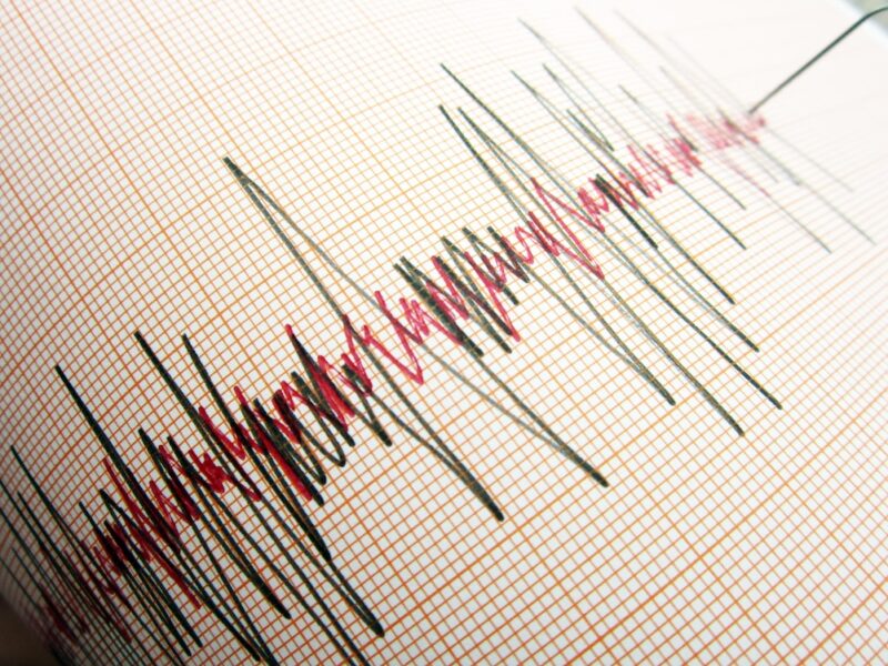 Ege Denizi'nde saat 08.36'da 4,4 büyüklüğünde deprem meydana geldi.