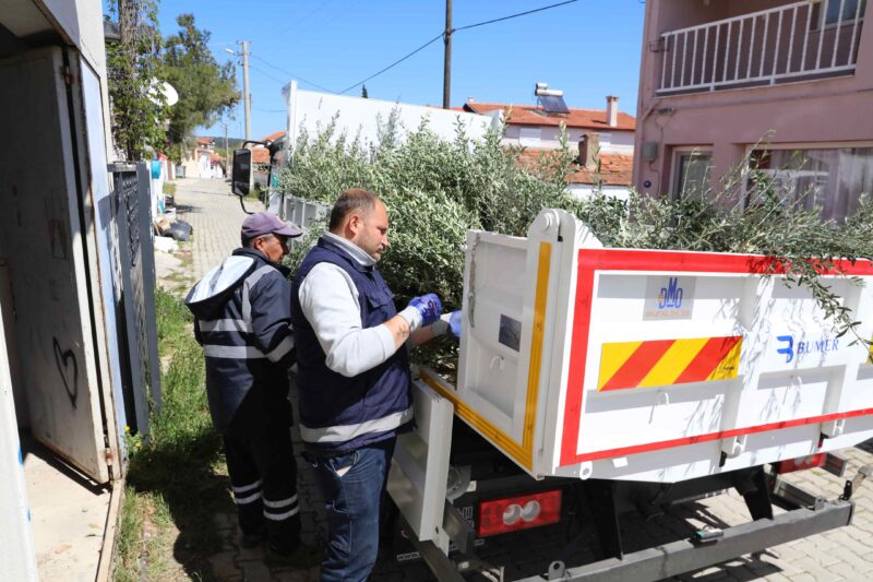 Urla Belediyesi, üreticiyi destekleyen tarım politikalarıyla zeytin varlığını artırmaya devam
