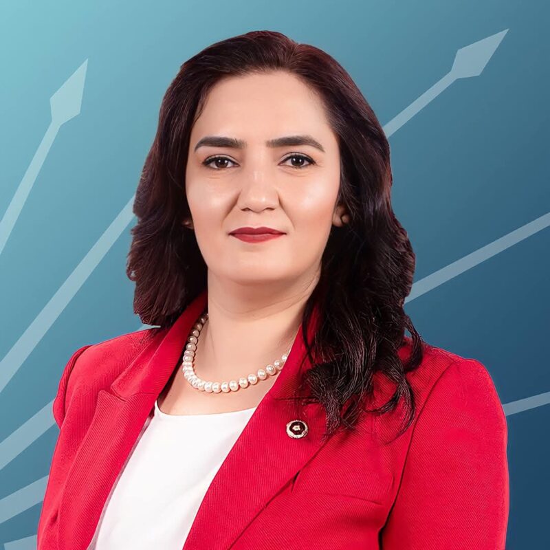 CHP İzmir Milletvekili Sevda Erdan Kılıç, olağanüstü kurultayın parti içi
