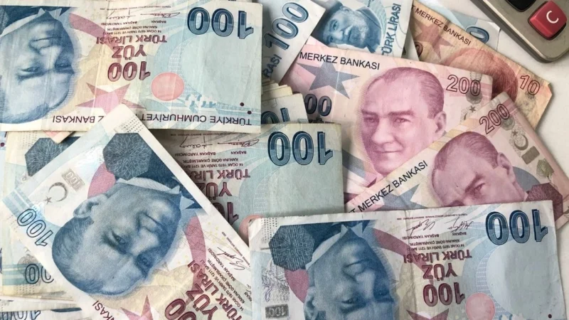Aile ve Sosyal Hizmetler Bakanlığı, Nisan 2025 SED ödemelerinin ayın