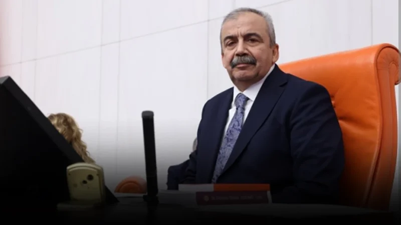 TBMM Başkanvekili ve DEM Parti vekili Sırrı Süreyya Önder, geçirdiği