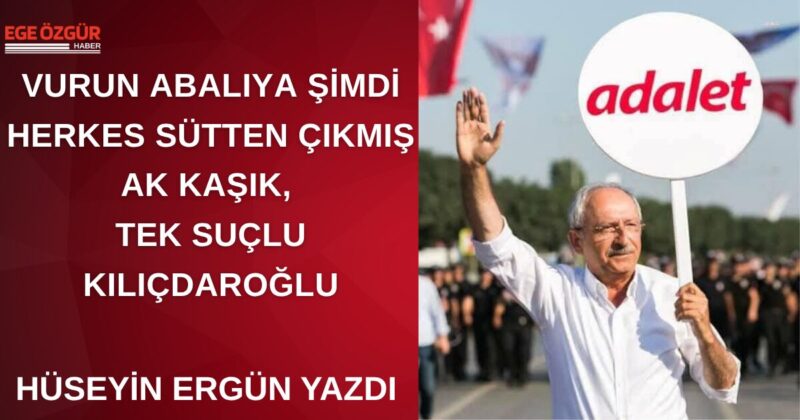 Bir insan düşünün; ülkesi için uzun süre bürokrat olarak görev