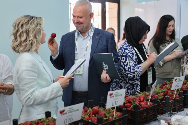 Emiralem’in kokusuyla, lezzetiyle nam salmış çileği için düzenlenen 15. Emiralem