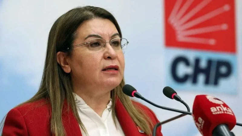 CHP'nin TBMM Başkanvekili Gülizar Biçer Karaca, Meclis'te AYM'nin Can Atalay