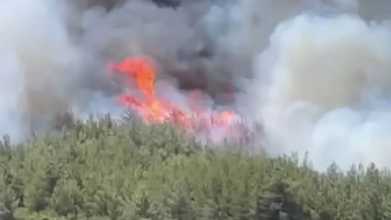 Manisa’nın Akhisar ilçesinde 28 Haziran’da başlayan orman yangını 3. gününde