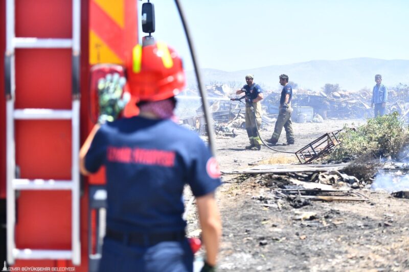 Son bir ayda İzmir’i etkileyen orman yangınlarının geride bıraktığı hasar
