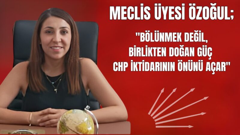 Çiğli ve İzmir Büyükşehir Belediyesi Meclis Üyesi, Makine Mühendisi Gözde