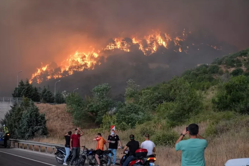 Sakarya'nın Geyve ilçesinde dört gün önce başlayan orman yangını, şiddetli