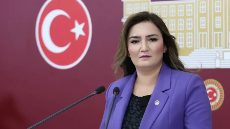 CHP İzmir Milletvekili Sevda Erdan Kılıç, MESEM uygulamalarıyla çocuk işçiliğinin