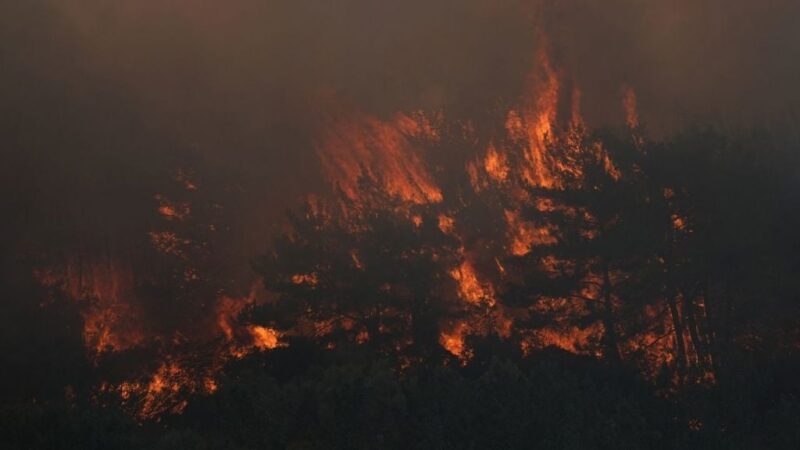 İzmir’in Urla ilçesinde dün öğle saatlerinde çıkan orman yangınına ekiplerin