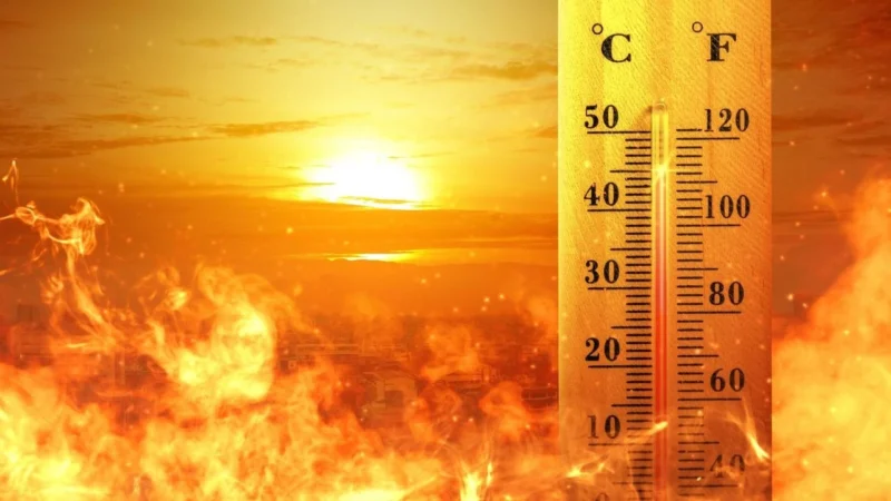 İstanbul'da sıcak hava ve yüksek nem etkisini artırdı. Meteoroloji Genel