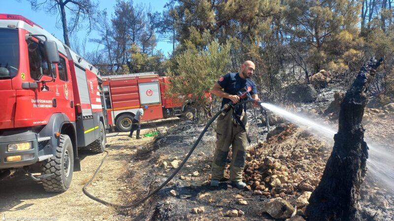 İzmir Büyükşehir Belediyesi İtfaiye Dairesi Başkanlığı ekipleri ile İzmir Orman