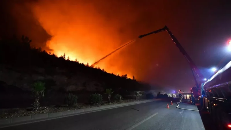 İzmir’in Buca ilçesinde evini yaktıktan sonra otluk alanı ateşe vererek